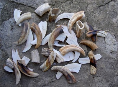 PICT0719.JPG